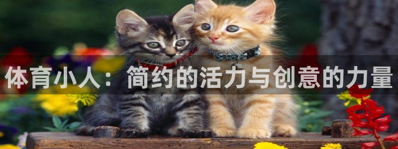 意昂32登录入口：体育小人：简约的活力与创意的力量