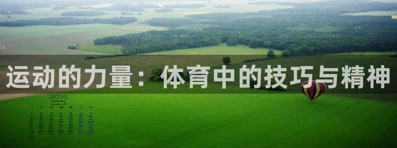 意昂3体育凯捷平台主管：运动的力量：体育中的技巧与精神