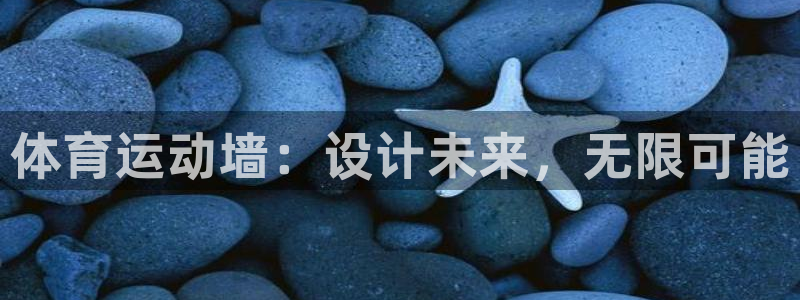 广州市意昂智能科技有限公司：体育运动墙：设计未来，无限可能