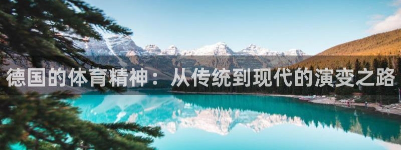 东莞市大朗意昂五金厂：德国的体育精神：从传统到现代的演变之路