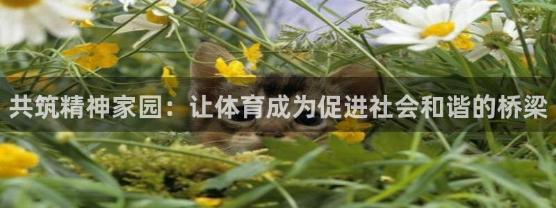 意昂总代：共筑精神家园：让体育成为促进社会和谐的桥梁