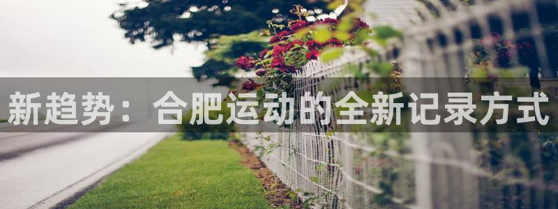 www.意昂体育.com：新趋势：合肥运动的全新记录方式
