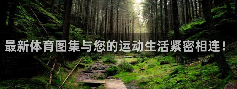 意昂3平台注册：最新体育图集与您的运动生活紧密相连！