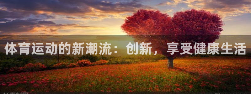 福建意昂机电股份公司：体育运动的新潮流：创新，享受健康生活
