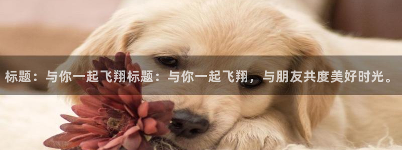 意昂33代理：标题：与你一起飞翔标题：与你一起飞翔，与朋友共度美好时光。