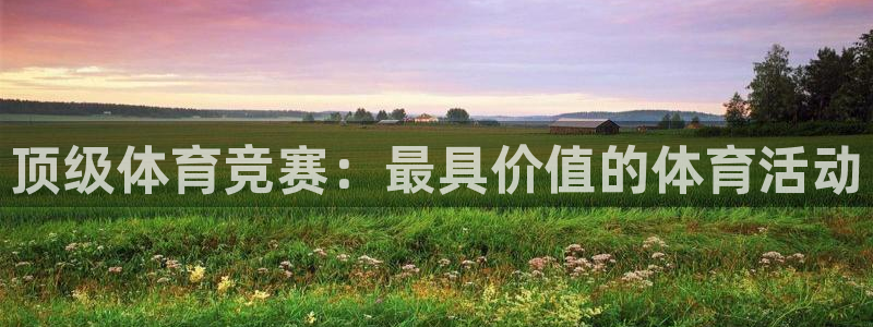 意昂3注册：顶级体育竞赛：最具价值的体育活动