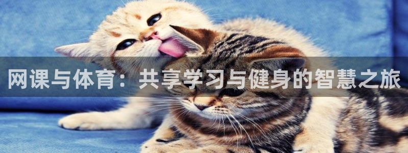 意昂：网课与体育：共享学习与健身的智慧之旅