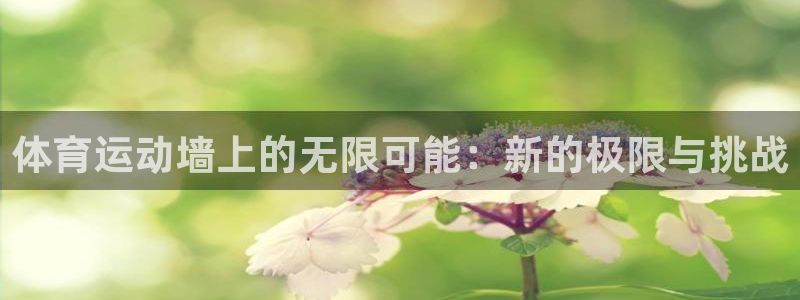 成都意昂电子有限公司：体育运动墙上的无限可能：新的极限与挑战