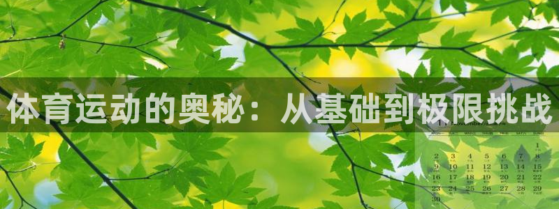 意昂3平台登录注册：体育运动的奥秘：从基础到极限挑战