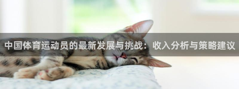 意昂主管：中国体育运动员的最新发展与挑战：收入分析与策略建议
