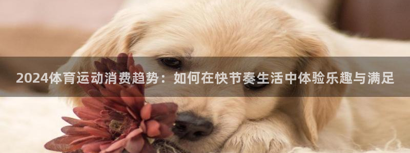意昂3凯捷注册：2024体育运动消费趋势：如何在快节奏生活中体验乐趣与满足