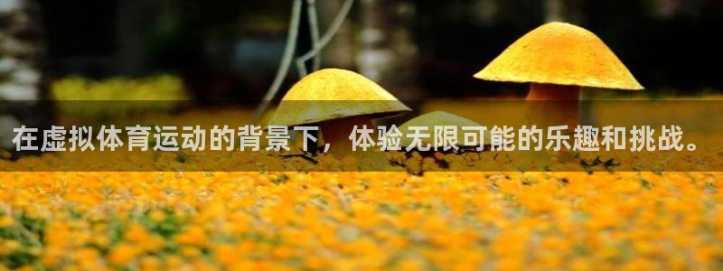 意昂3体育平台登录入口：在虚拟体育运动的背景下，体验无限可能的乐趣和挑战。
