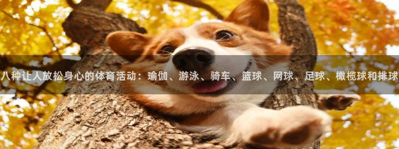 福建意昂3机电股份公司：八种让人放松身心的体育活动：瑜伽、游泳、骑车、篮球、网球