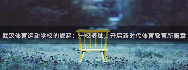 意昂3平台主管：武汉体育运动学校的崛起：一校多址，开启新时代体育教育新篇章