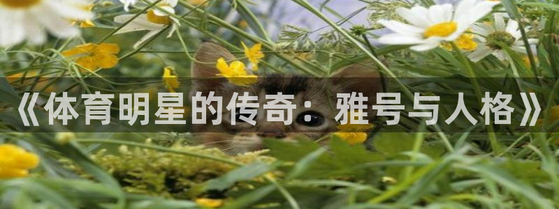 意昂3电子有限公司：《体育明星的传奇：雅号与人格》