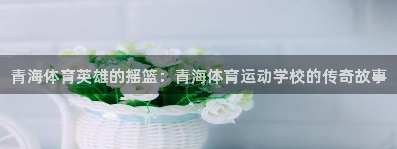 意昂3体育凯捷平台主管：青海体育英雄的摇篮：青海体育运动学校的传奇故事