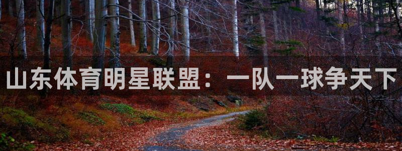 东莞市大朗意昂五金厂：山东体育明星联盟：一队一球争天下