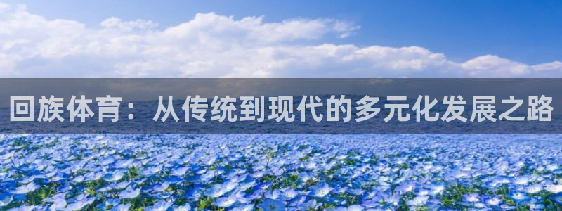 意昂3体育注册代理：回族体育：从传统到现代的多元化发展之路