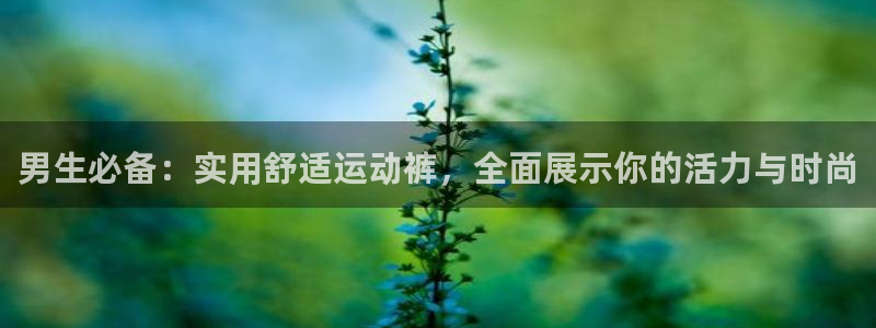 意昂34：男生必备：实用舒适运动裤，全面展示你的活力与时尚