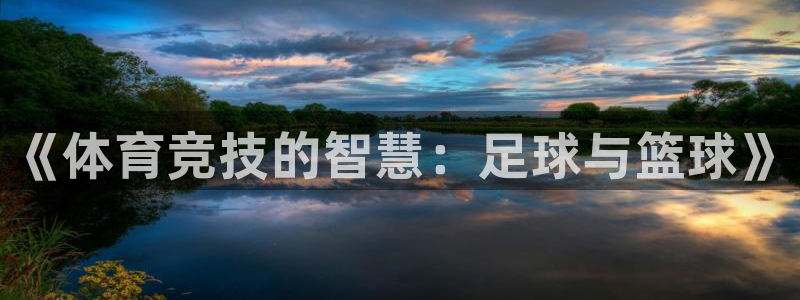 意昂33登陆：《体育竞技的智慧：足球与篮球》