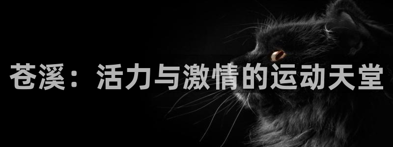 意昂33登录：苍溪：活力与激情的运动天堂